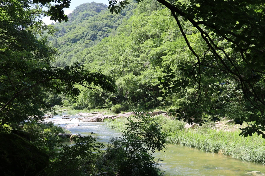 SE-04f3c12c-6e30-4a6e-b809-9d83690cb336.jpg?type=w1