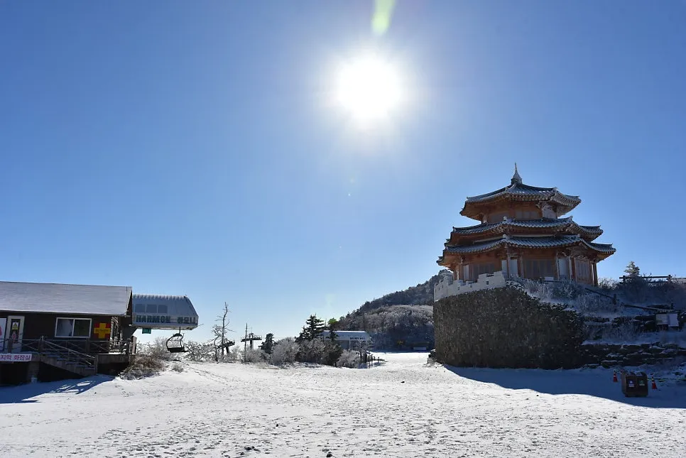 11%EC%9B%9426%EC%9D%BC_(19).JPG?type=w966