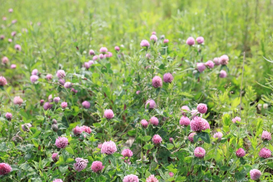 6%EC%9B%9414%EC%9D%BC_(66).JPG?type=w1