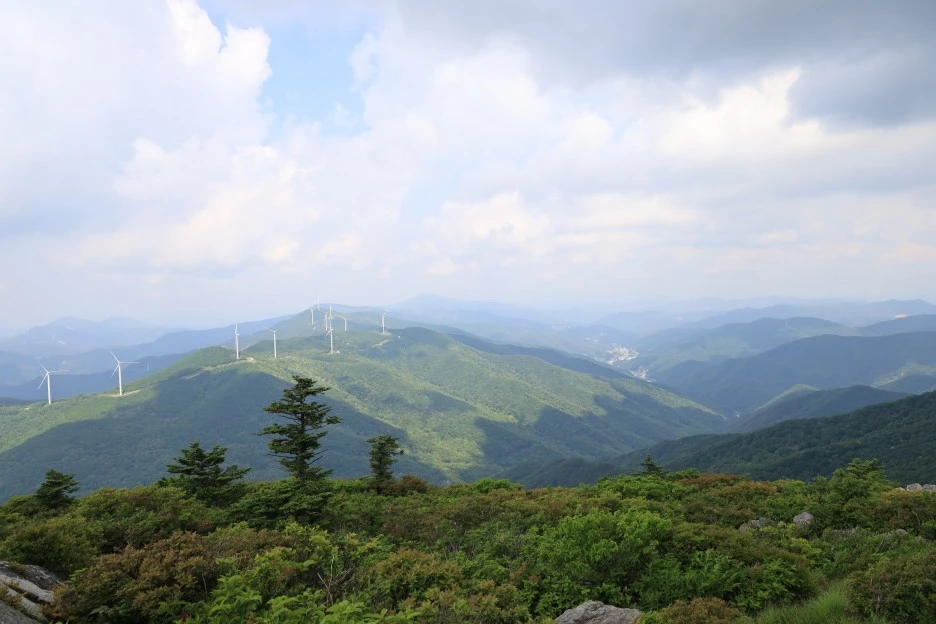 6%EC%9B%9414%EC%9D%BC_(156).JPG?type=w1