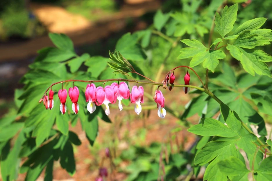 5%EC%9B%9410%EC%9D%BC_(190).JPG?type=w1