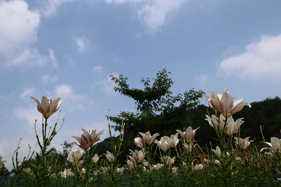 SE-adb4ac74-5575-4f7d-b744-e1922bbd4932.jpg?type=w1