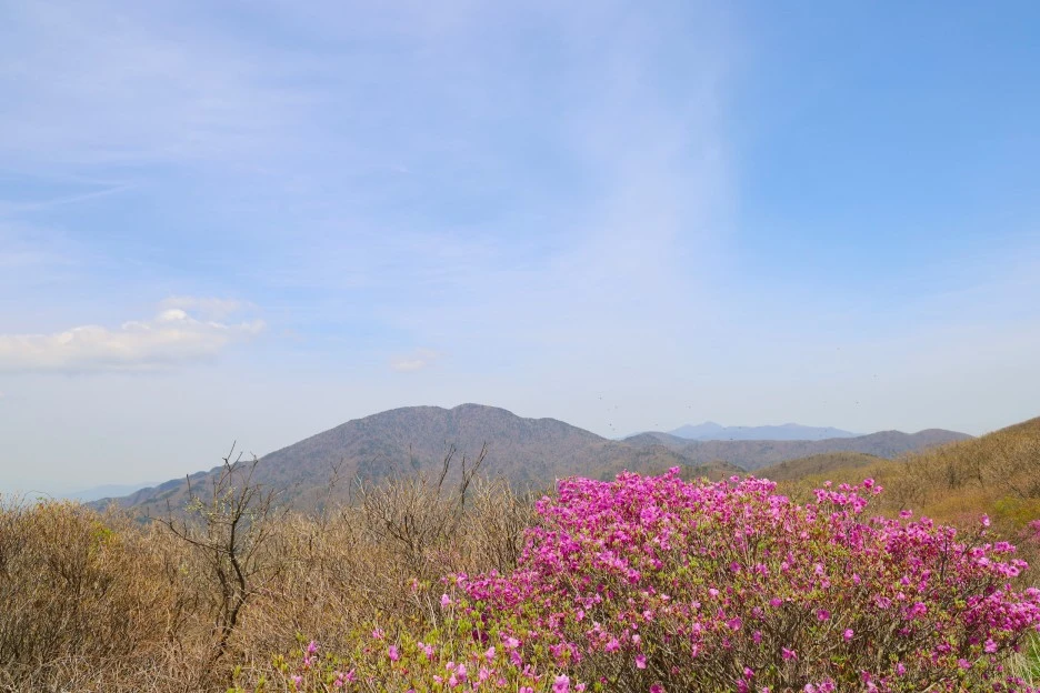 4%EC%9B%9428%EC%9D%BC_(44).JPG?type=w1