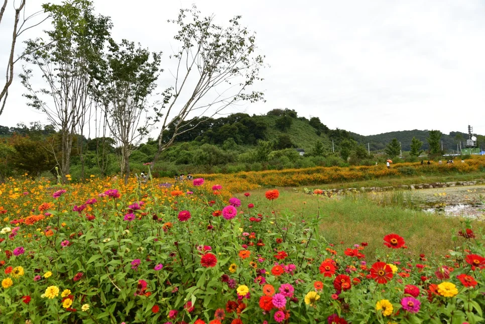 10%EC%9B%9414%EC%9D%BC_(42).JPG?type=w966