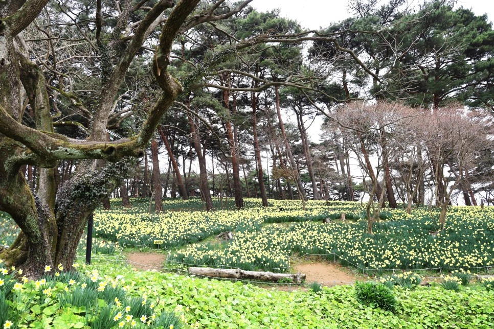 4%EC%9B%945%EC%9D%BC_(20).JPG?type=w966