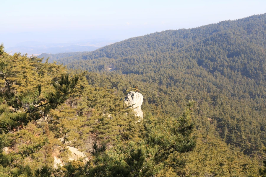 SE-46ac8699-0e7f-49f1-b4c1-536140789f82.jpg?type=w1