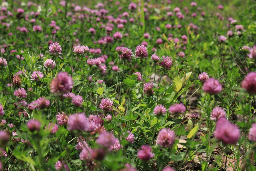 SE-16e0fb93-6382-4157-b247-212ec23fcf93.jpg?type=w1