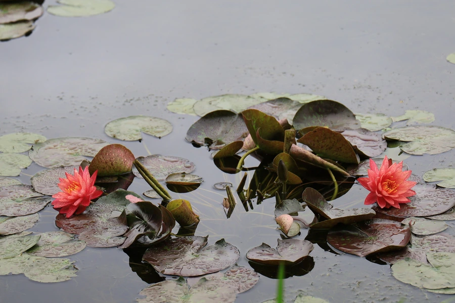 SE-c1196a03-7f2d-4f15-bc1a-8dd3d77fa024.jpg?type=w1