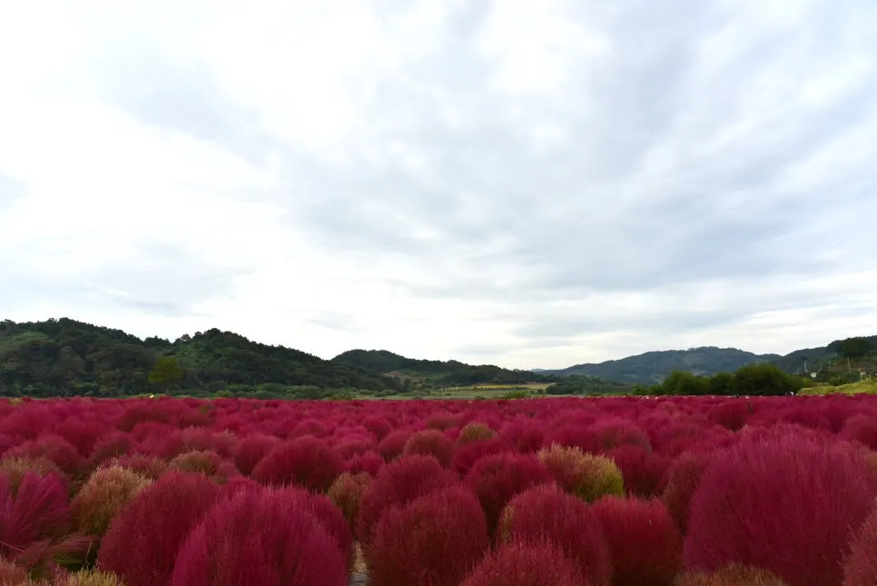 10%EC%9B%9414%EC%9D%BC_(49).JPG?type=w966