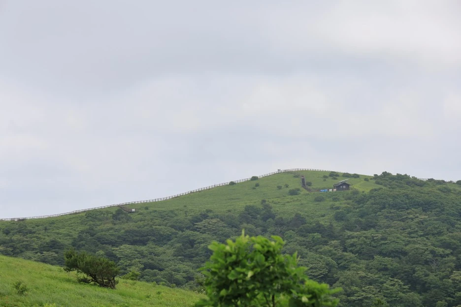 6%EC%9B%9428%EC%9D%BC_(186).JPG?type=w1