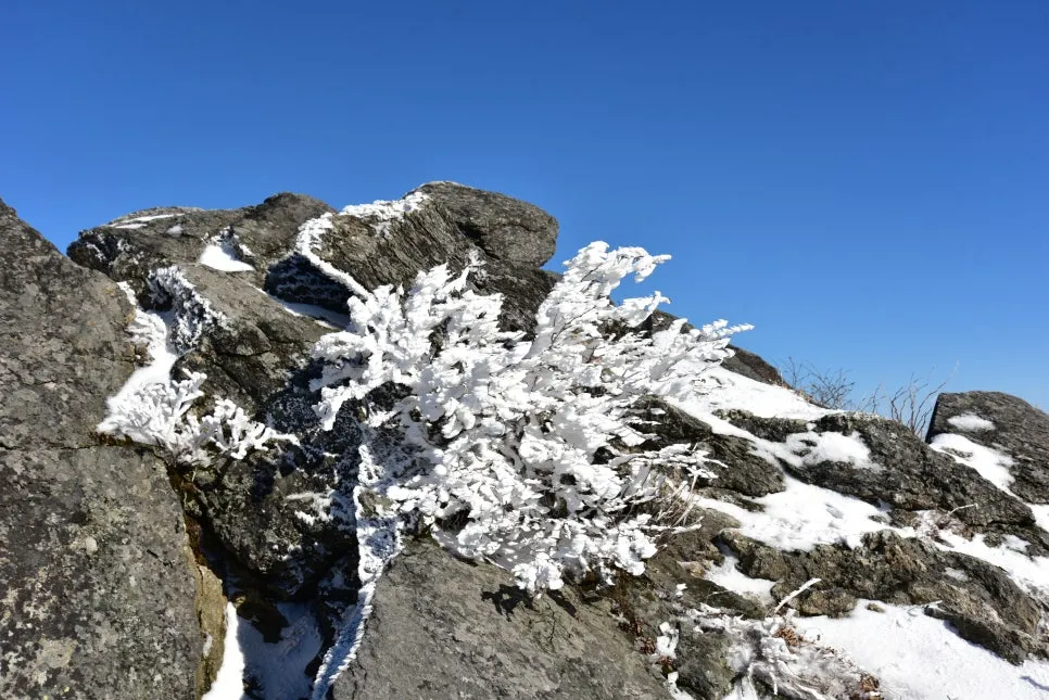 11%EC%9B%9426%EC%9D%BC_(192).JPG?type=w966