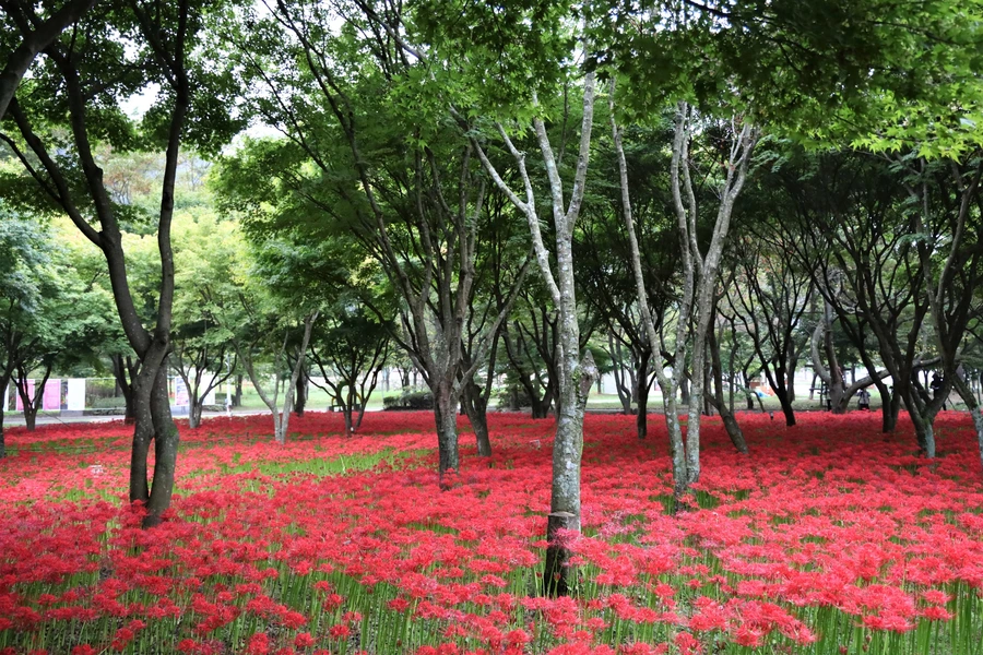 SE-14fccd47-596d-4c8a-a9f2-582f672d989f.jpg?type=w1