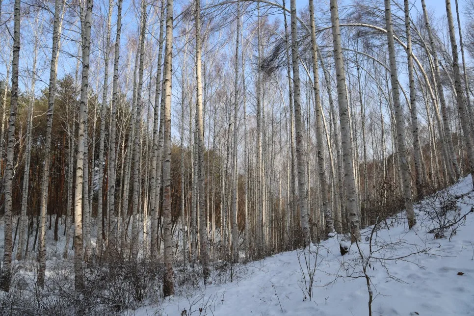 12%EC%9B%9426%EC%9D%BC_(21).JPG?type=w966