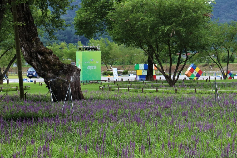 SE-95e9d823-0f67-47a5-adc2-132e2229666b.jpg?type=w1