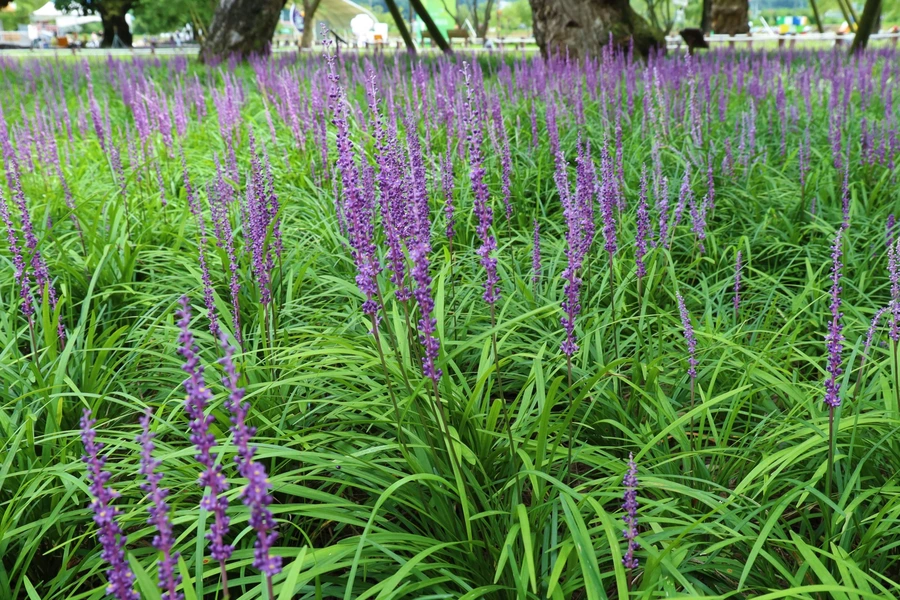 SE-c3717782-2548-4609-852d-63bc99c43435.jpg?type=w1