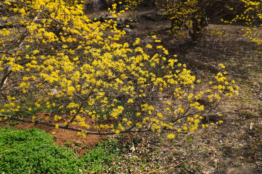 SE-7e368ab2-140a-4fa8-9b97-55d04de9ad8f.jpg?type=w1