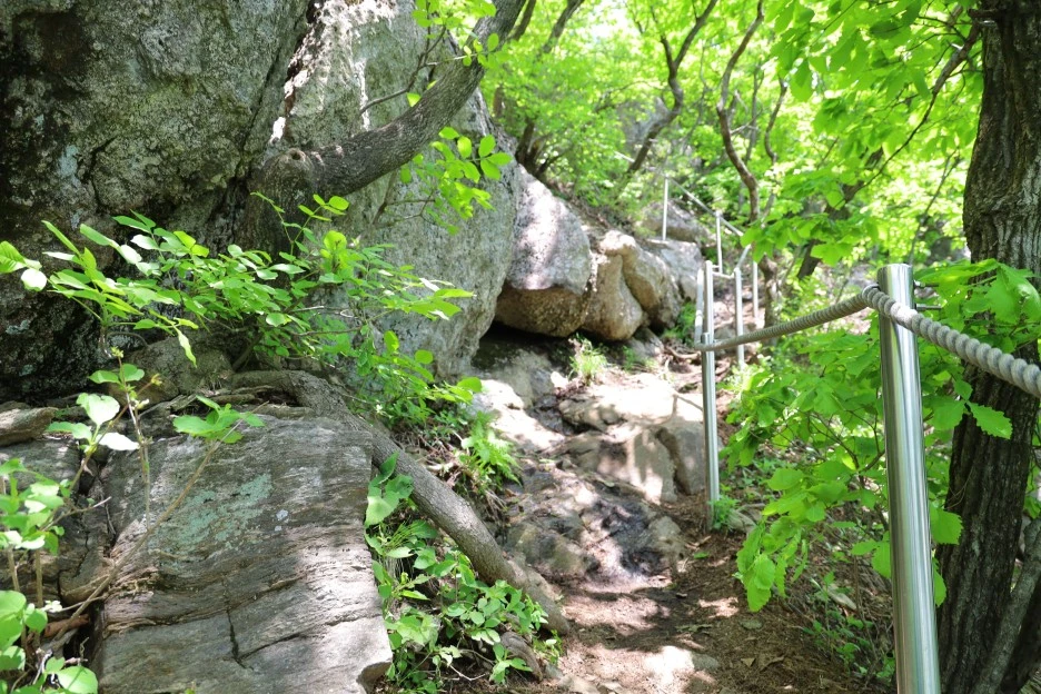 5%EC%9B%9410%EC%9D%BC_(129).JPG?type=w1