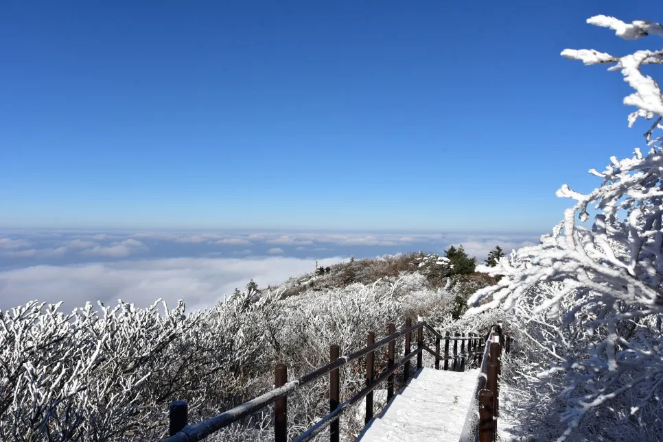 11%EC%9B%9426%EC%9D%BC_(122).JPG?type=w966