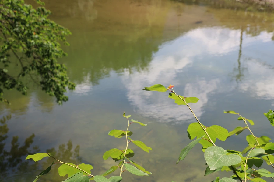 SE-7606d771-161e-4e4b-9a88-714c046d2887.jpg?type=w1