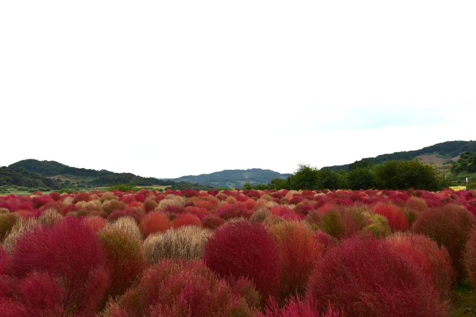 10%EC%9B%9414%EC%9D%BC_(74).JPG?type=w966