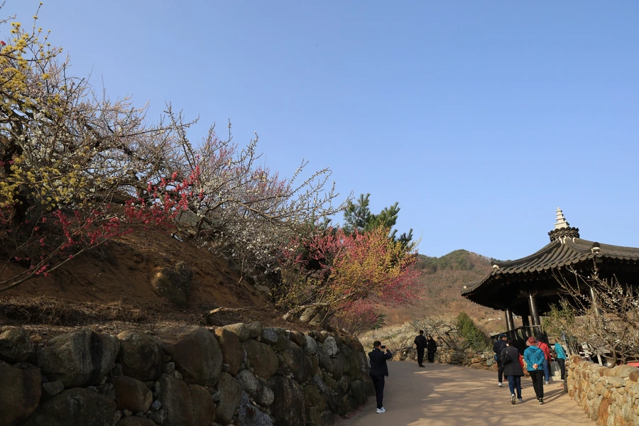 SE-251f1985-6e09-49af-93b2-f6606ba94604.jpg?type=w1