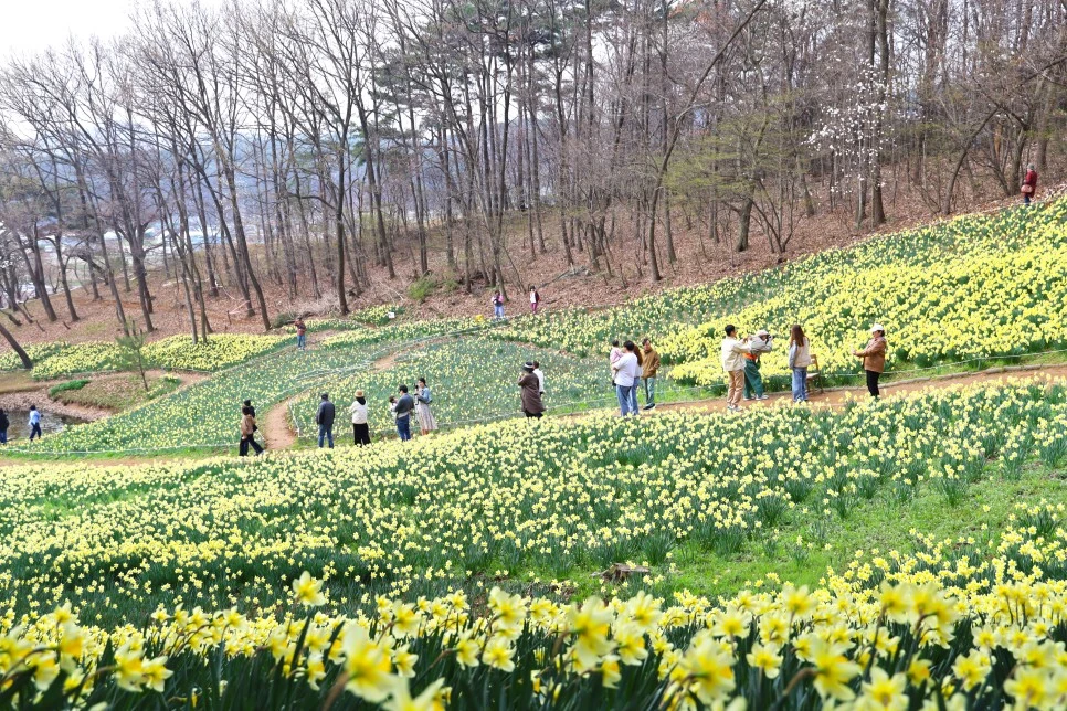 4%EC%9B%945%EC%9D%BC_(70).JPG?type=w966