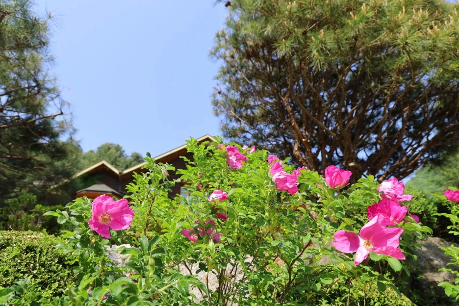 5%EC%9B%9410%EC%9D%BC_(197).JPG?type=w1