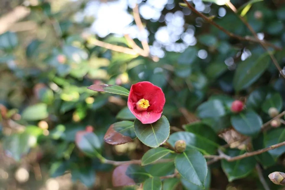 2%EC%9B%9426%EC%9D%BC_(94).JPG?type=w966