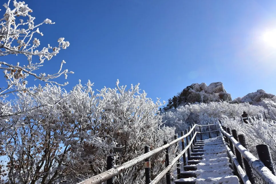 11%EC%9B%9426%EC%9D%BC_(107).JPG?type=w966