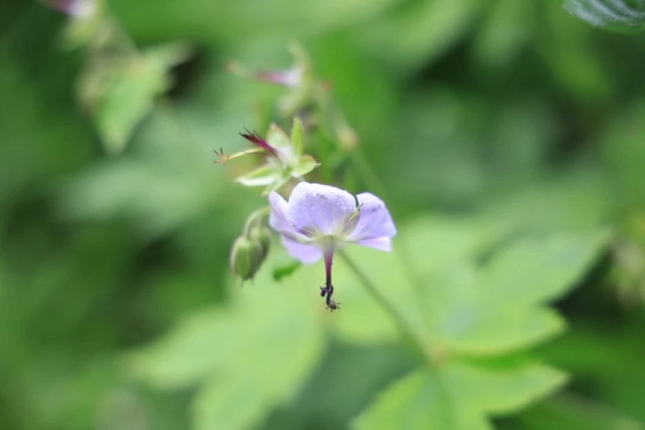 6%EC%9B%9414%EC%9D%BC_(117).JPG?type=w1