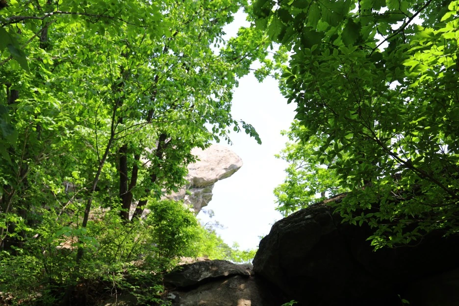 5%EC%9B%9410%EC%9D%BC_(168).JPG?type=w1