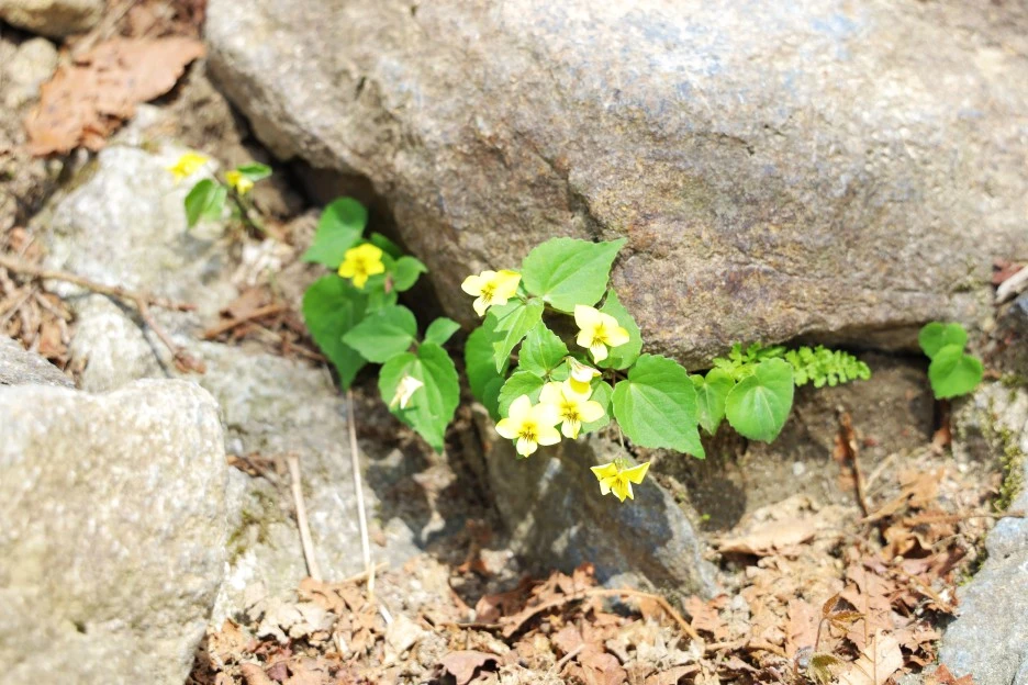 4%EC%9B%9428%EC%9D%BC_(16).JPG?type=w1