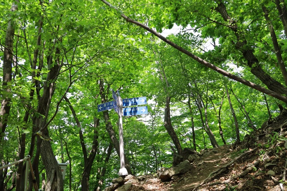 5%EC%9B%9410%EC%9D%BC_(156).JPG?type=w1