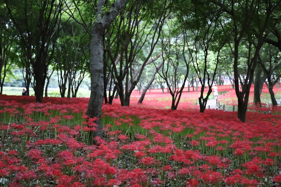 SE-c87064df-336b-4685-b287-141a1a6c447b.jpg?type=w1