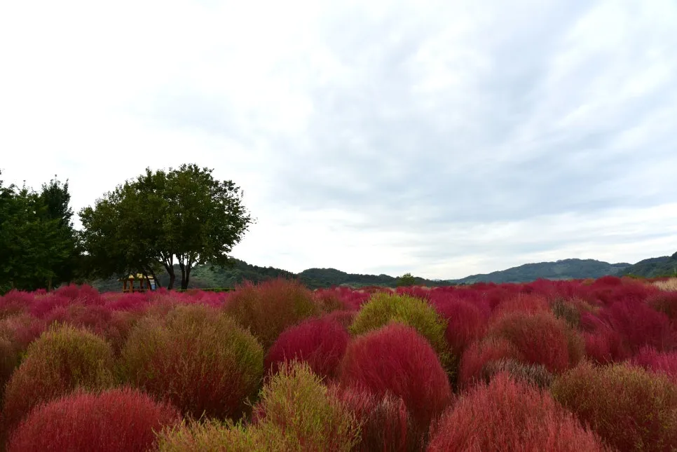 10%EC%9B%9414%EC%9D%BC_(38).JPG?type=w966