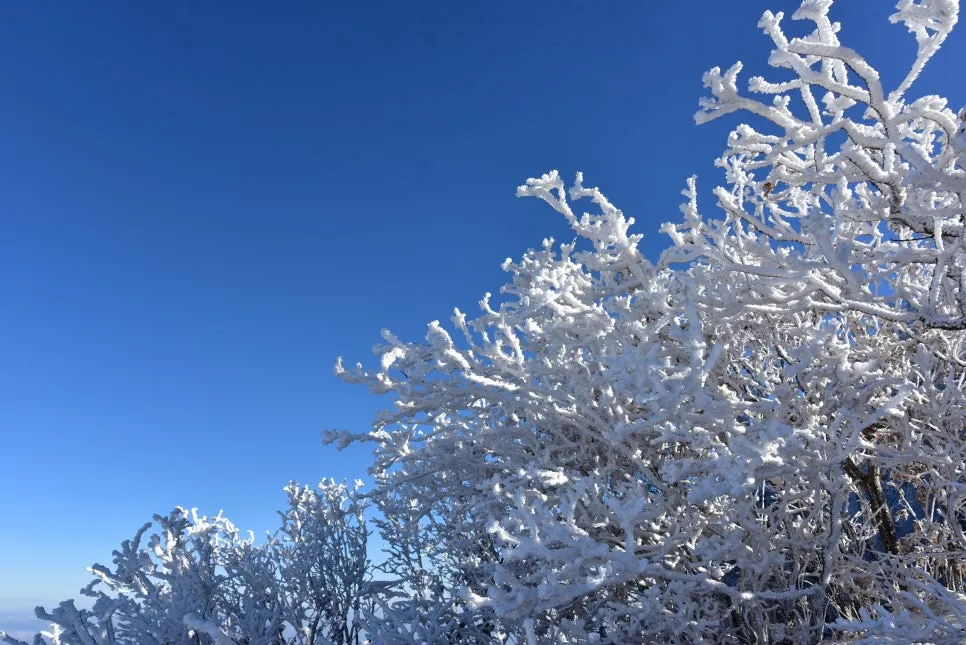 11%EC%9B%9426%EC%9D%BC_(111).JPG?type=w966