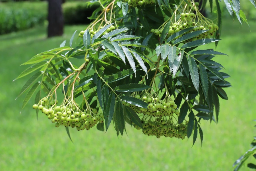 SE-d8409e75-7b47-4589-bce8-3868514bb686.jpg?type=w1