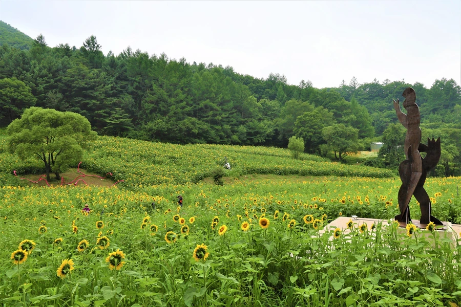 SE-8ca34780-7039-4674-a730-135f81f972a7.jpg?type=w1