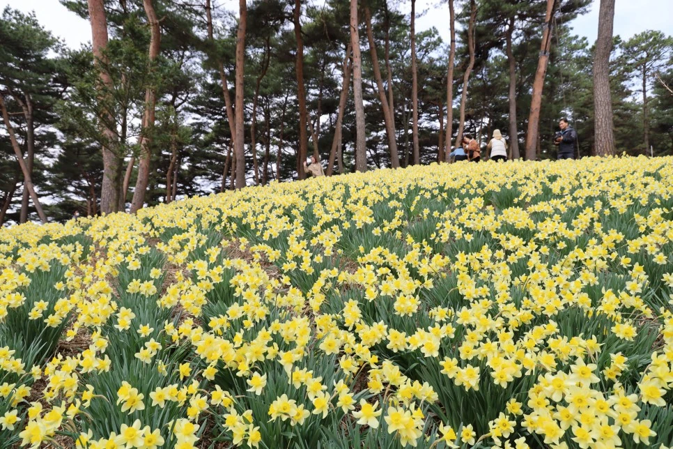 4%EC%9B%945%EC%9D%BC_(52).JPG?type=w966