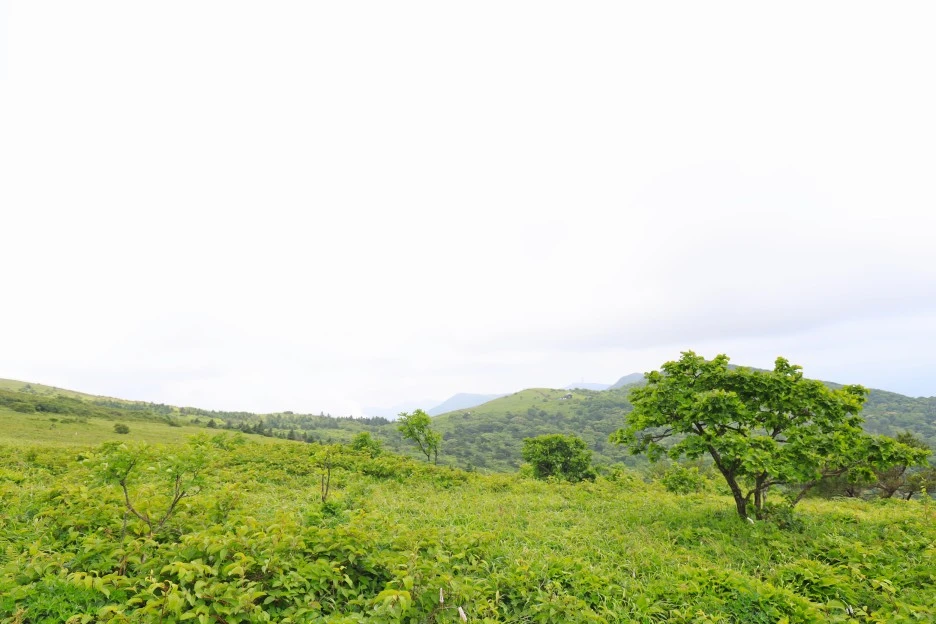 6%EC%9B%9428%EC%9D%BC_(201).JPG?type=w1