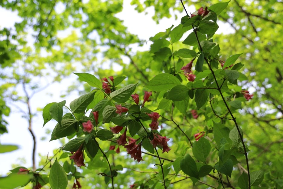 5%EC%9B%9410%EC%9D%BC_(110).JPG?type=w1