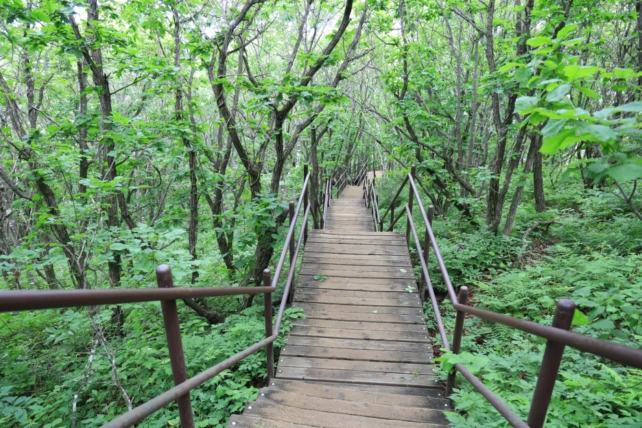 6%EC%9B%9428%EC%9D%BC_(138).JPG?type=w1