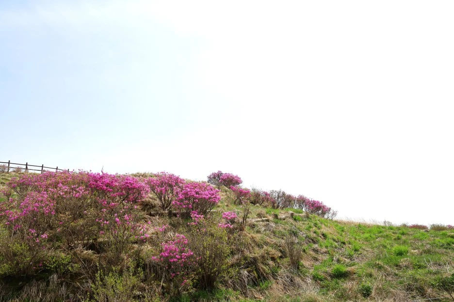 4%EC%9B%9428%EC%9D%BC_(130).JPG?type=w1