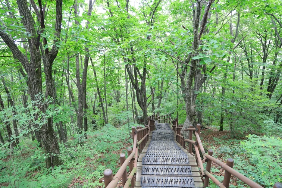 6%EC%9B%9428%EC%9D%BC_(360).JPG?type=w1