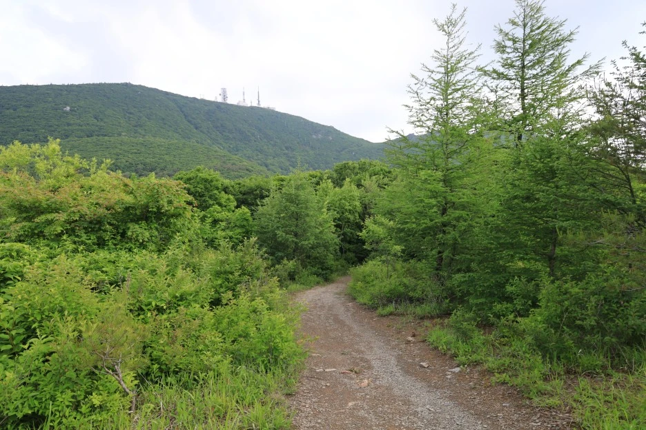 6%EC%9B%9414%EC%9D%BC_(94).JPG?type=w1