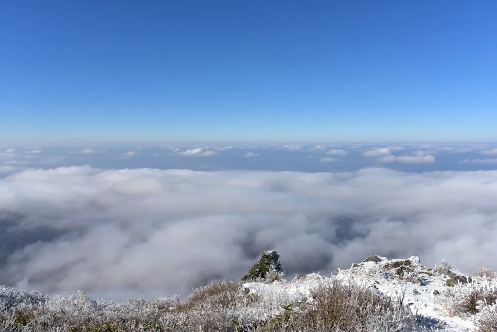 11%EC%9B%9426%EC%9D%BC_(160).JPG?type=w966