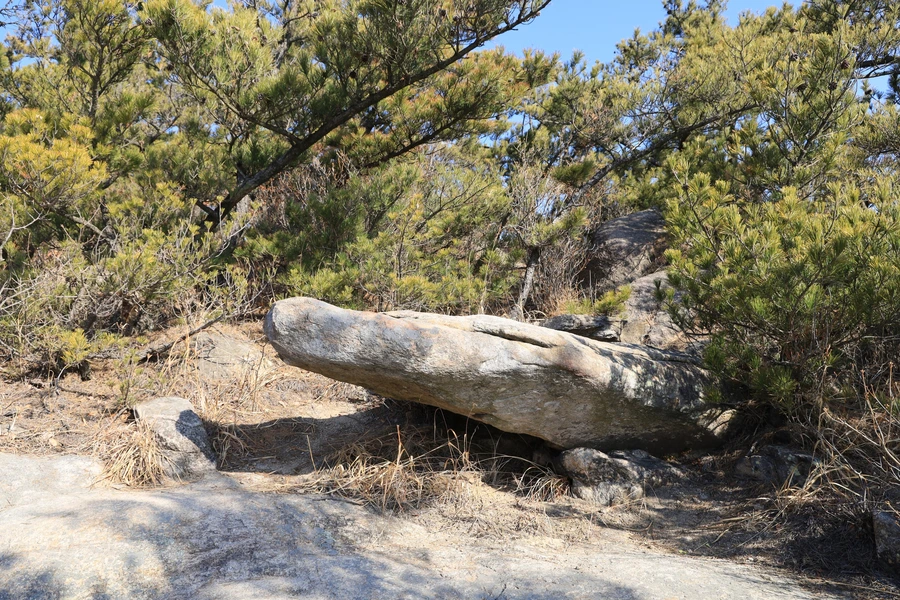 SE-9d3ba30b-cf21-4394-83b4-fd1f46553ded.jpg?type=w1