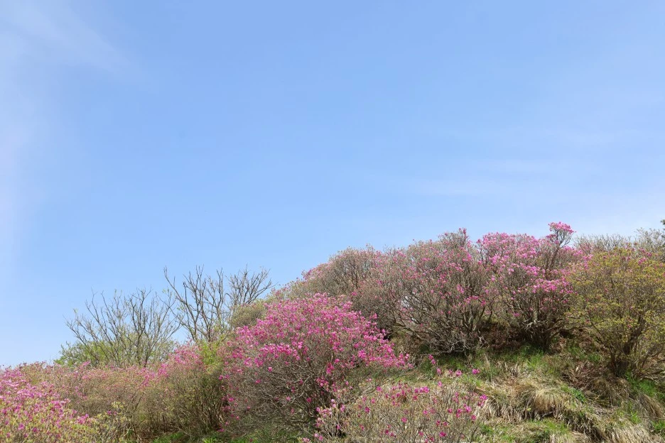 4%EC%9B%9428%EC%9D%BC_(47).JPG?type=w1