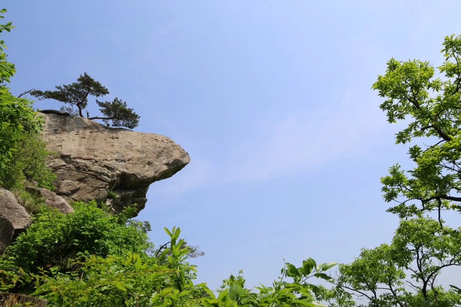 5%EC%9B%9410%EC%9D%BC_(167).JPG?type=w1