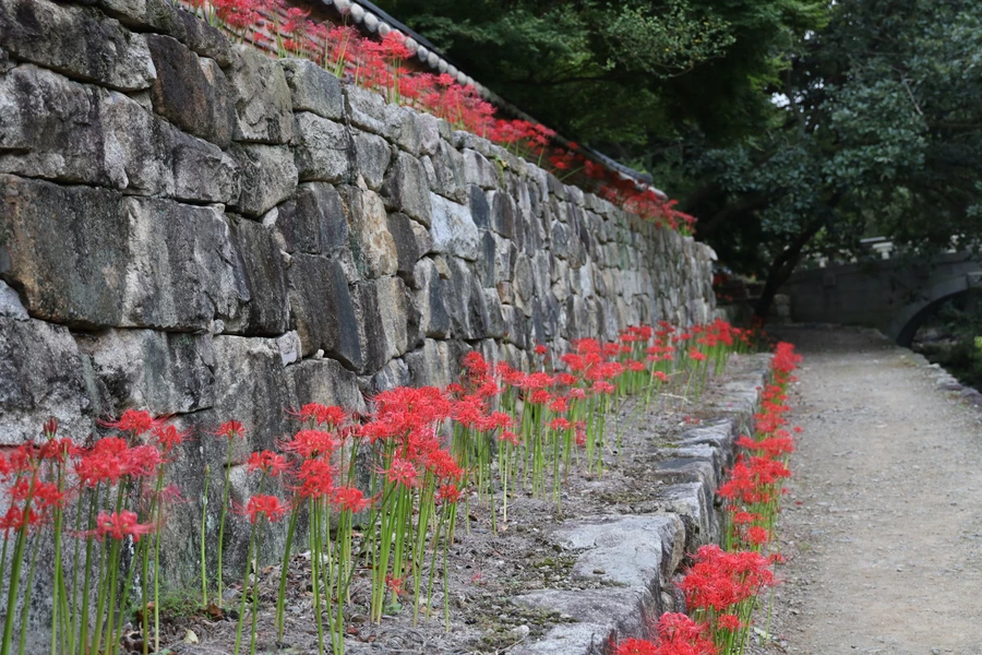 SE-86facef7-8ae3-48af-8c65-899ba09e9375.jpg?type=w1